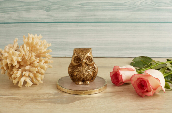 Brass owl paper weight - Image 4