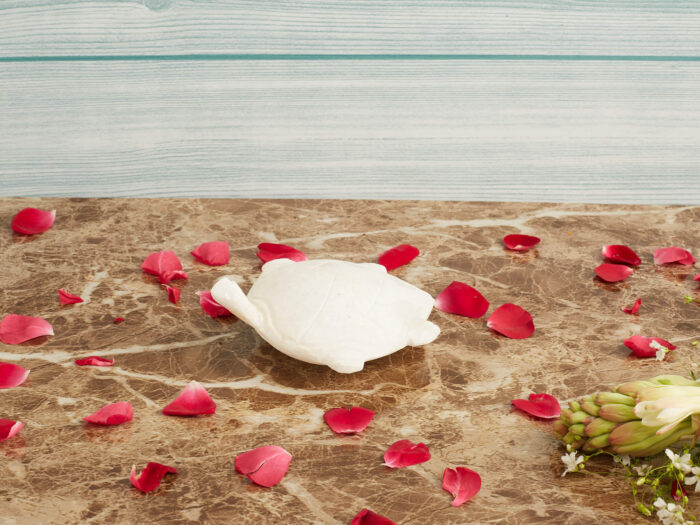 Marble floating tortoise - Image 3