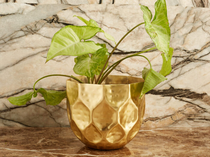 Acacia wood  round masala box - Image 26