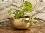 Rough brass planter - Image 3