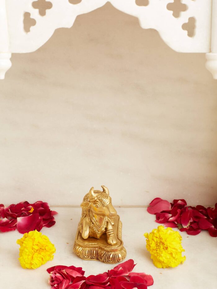 Brass Nandi - Image 3