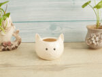 Cat table top planter