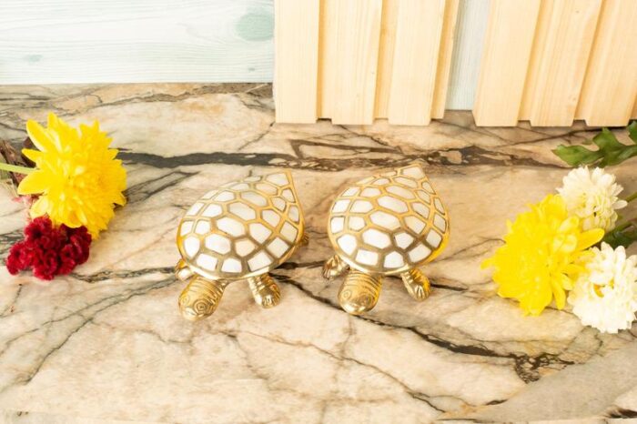 Tortoise trinket keeper - Image 3