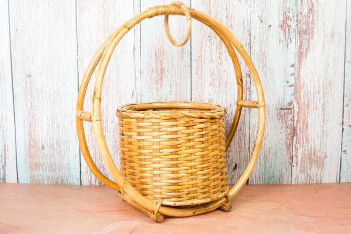 Cane planters - Image 3