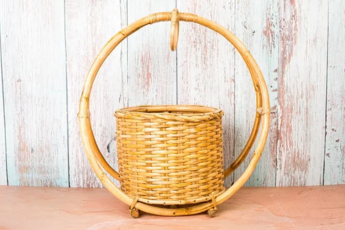 Cane planters - Image 2