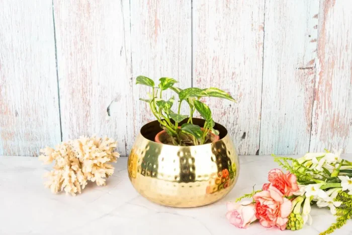 colored glassware - Image 5