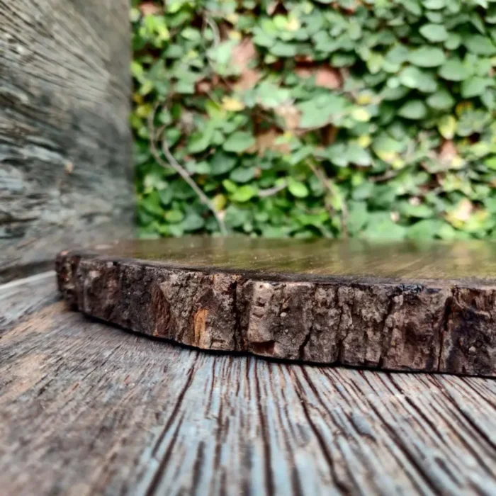 Rough wooden bark coasters - Image 3