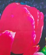 Pink floral cushion covers - Image 3