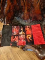 Flamenco art cushion covers - Image 2