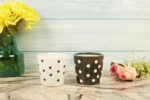 Polka dotted planter set