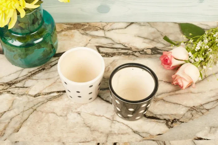 Polka dotted planter set - Image 2