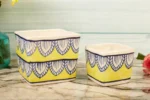 Lemon yellow planter set